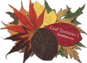 fzm-Leaf-Textures-01